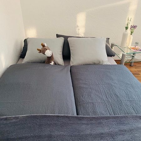 Schoene Wohnung In Roefingen Rofingen Buitenkant foto